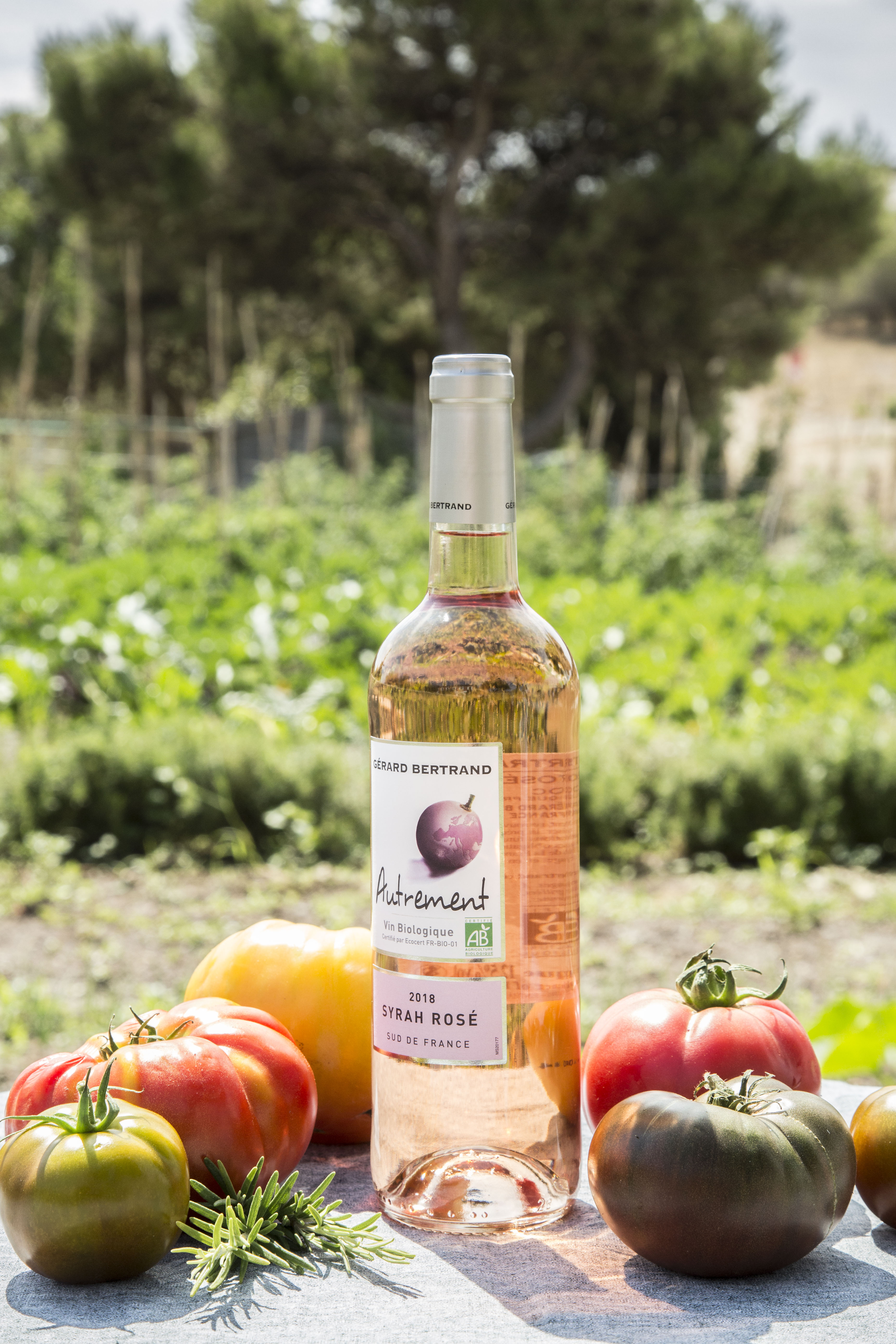Autrement Grenache 2025 organic rosé wine Set of 6 bottles 75cl