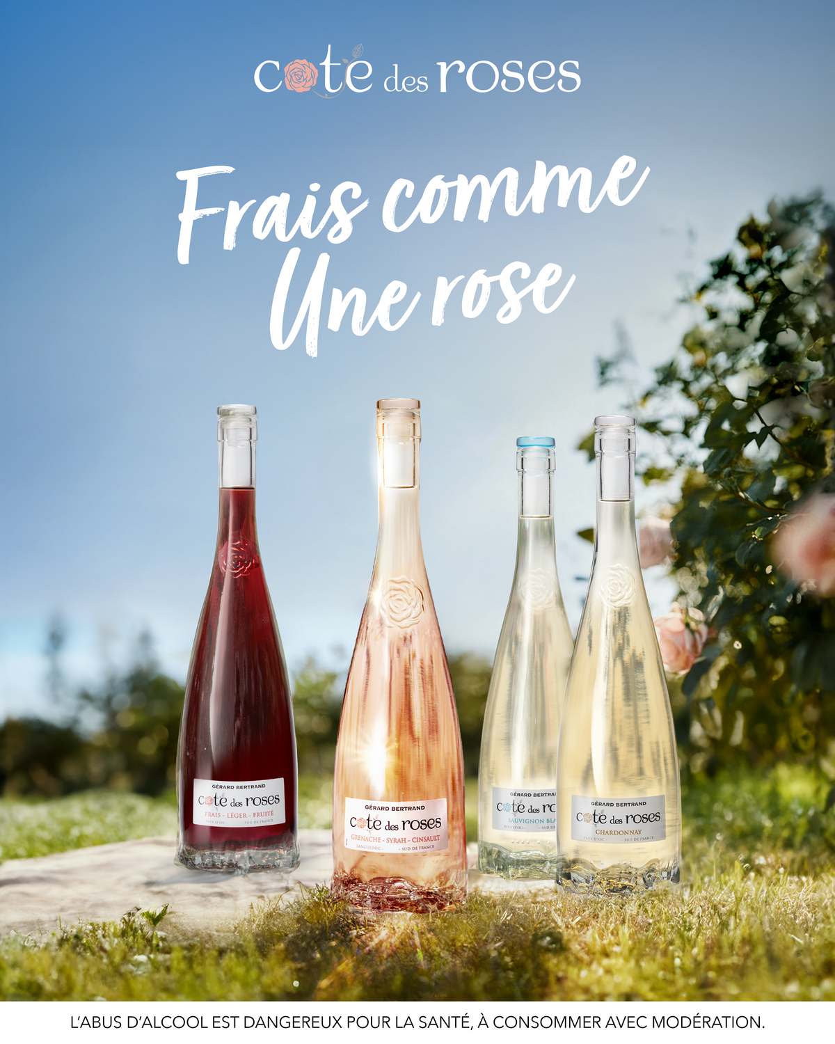 Cote des Roses rosé, Pinot Noir and Chardonnay gift set
