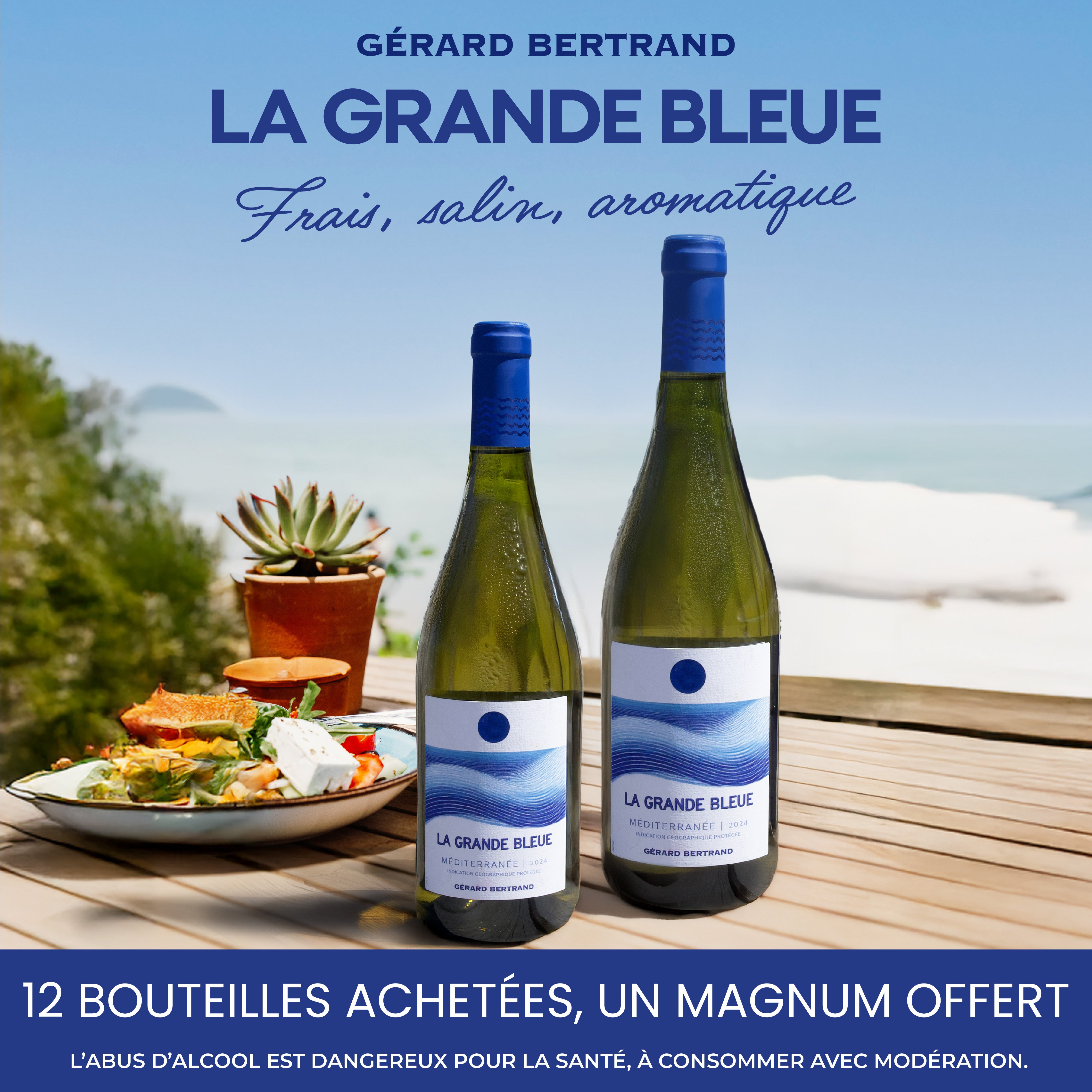 La Grande Bleue 2024 vin blanc bio Offre Spéciale 12 Bouteilles 75cl et Magnum Offert - Gérard Bertrand