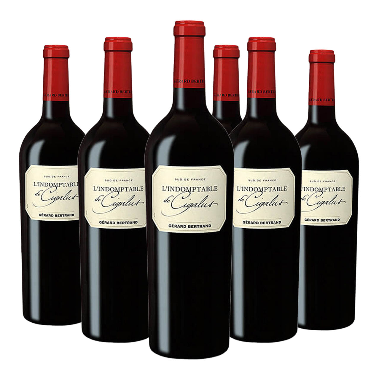 Indomptable de Cigalus vin rouge Lot 6 bouteilles 75cl