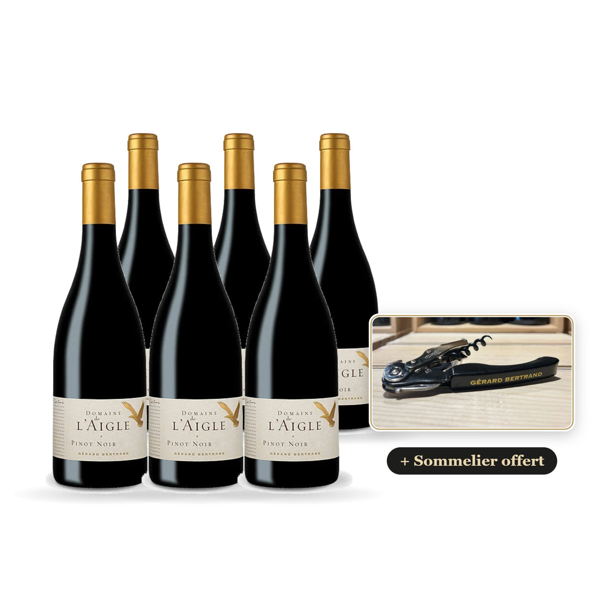 Pack of 6 Domaine de l'Aigle Pinot Noir 2024 bottles with a free Gérard Bertrand wine opener
