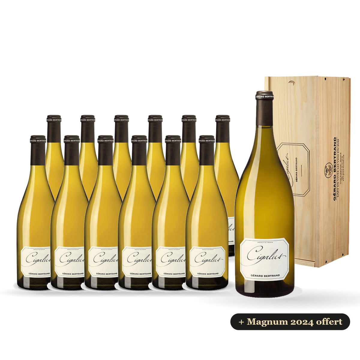 Pack of 12 Cigalus white 2025 with a free magnum of Cigalus white 2024