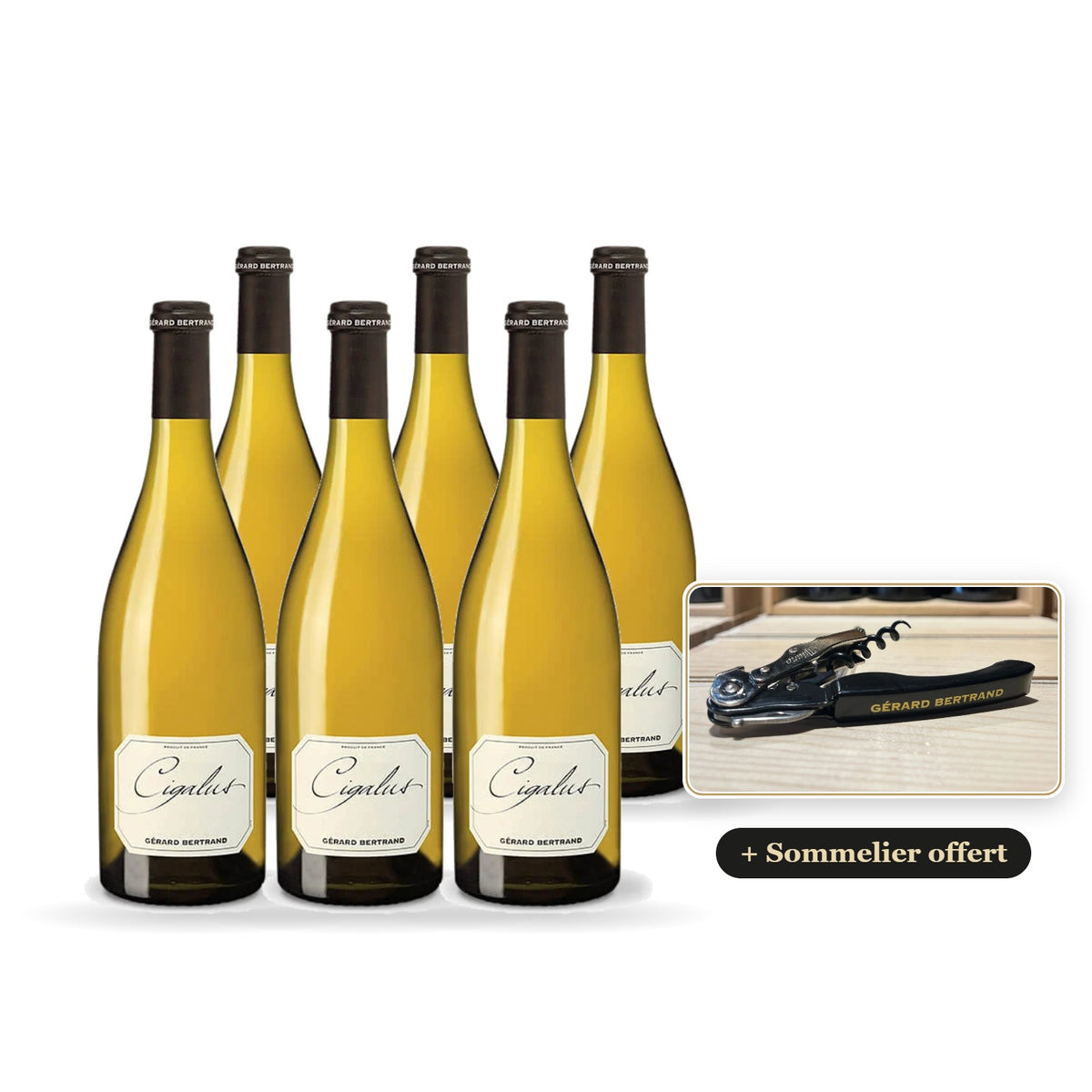 Pack of 6 Cigalus white 2025 with a free Gérard Bertrand corkscrew