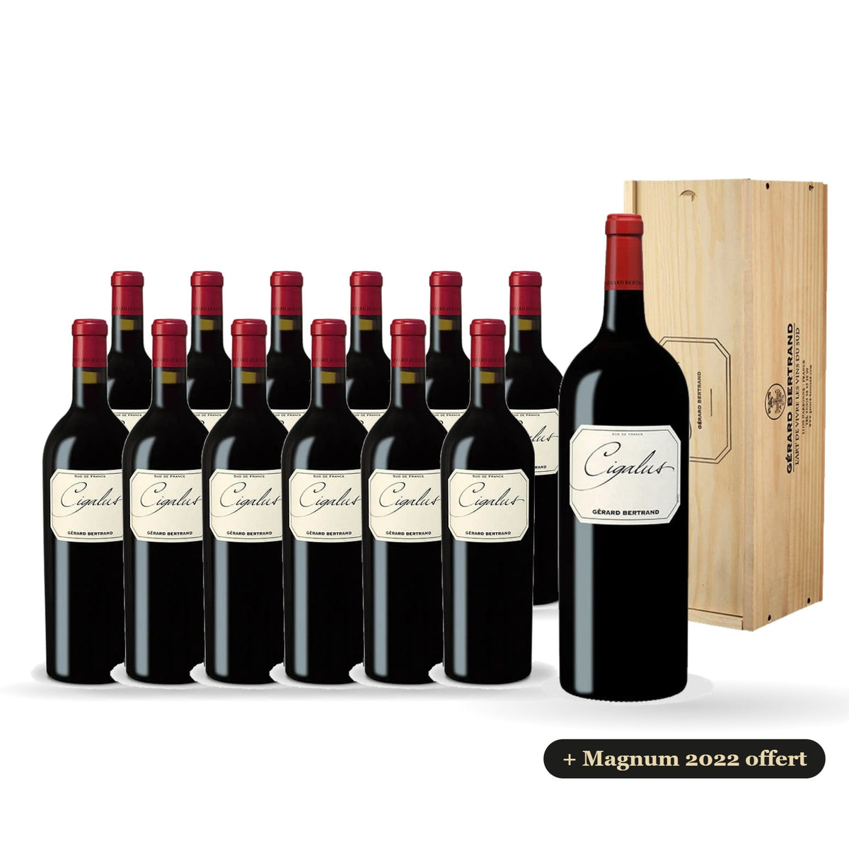 Pack of 12 Cigalus red 2023 with a free magnum of Cigalus red 2022 in a wooden case