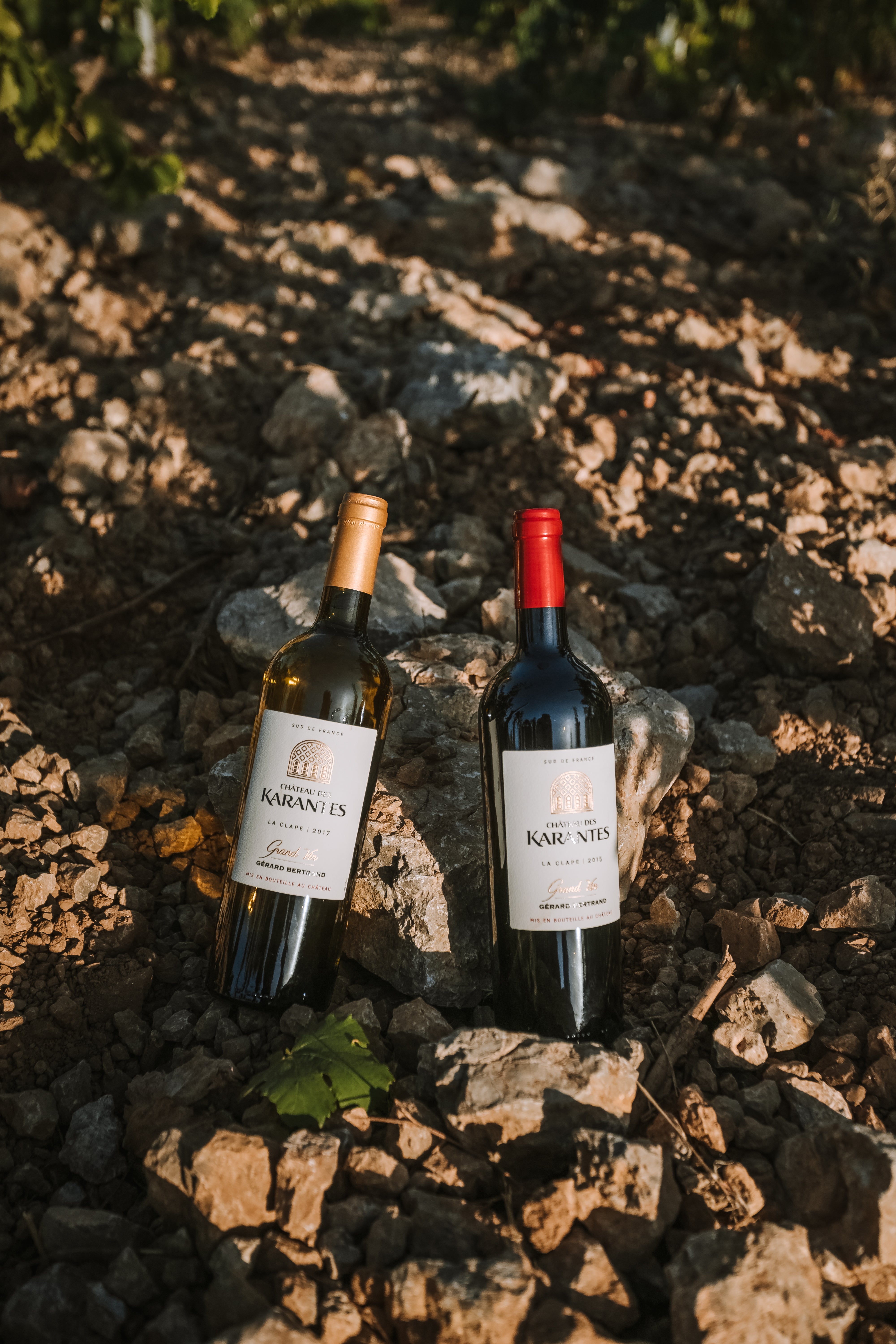 Château des Karantes Grand Vin blanc 2023 75cl