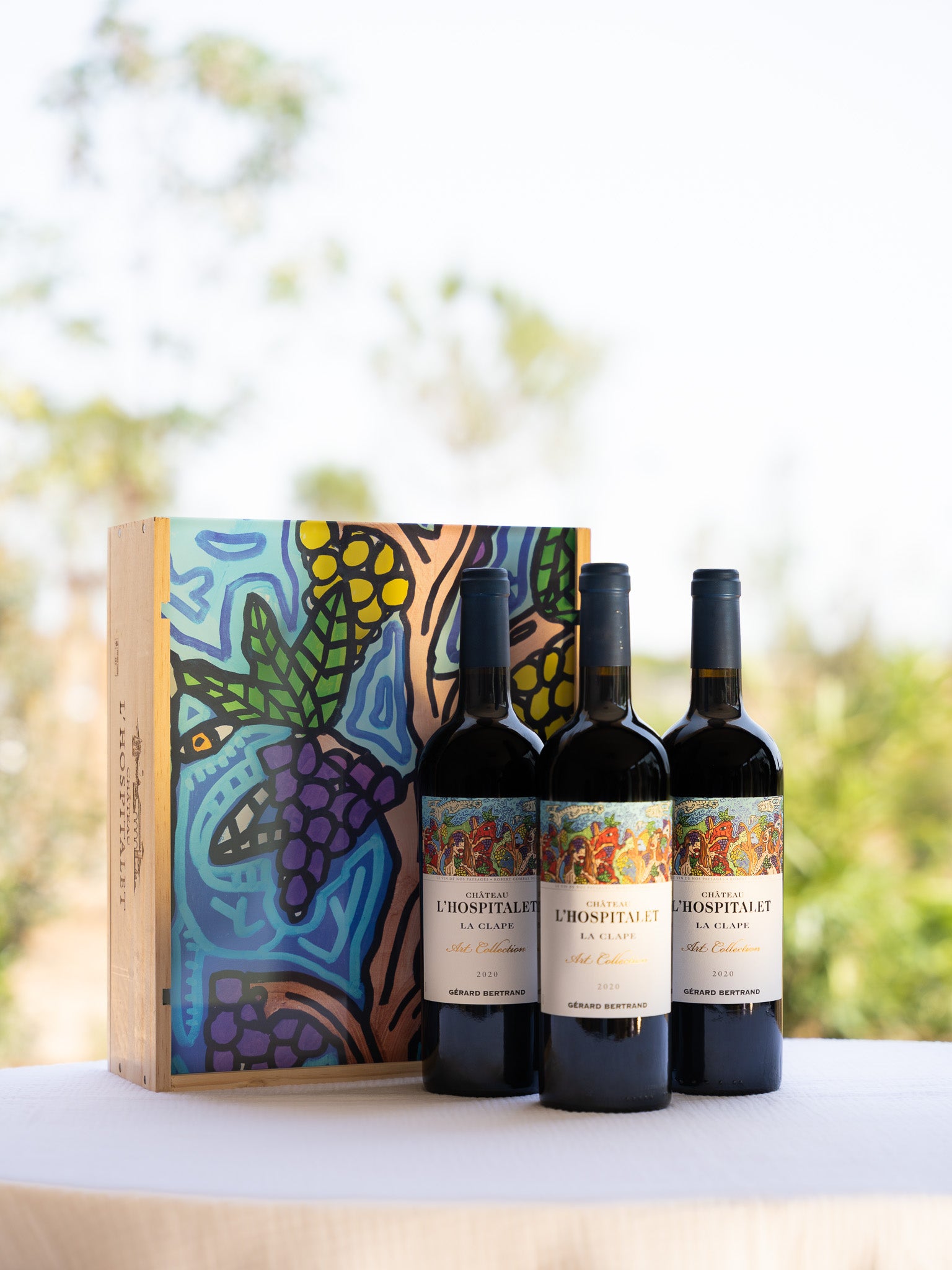 CHÂTEAU L’HOSPITALET ART COLLECTION Coffret 3x75cl 2020 - « LE VIN DE NOS PAYSAGES » ROBERT COMBAS - Gérard Bertrand