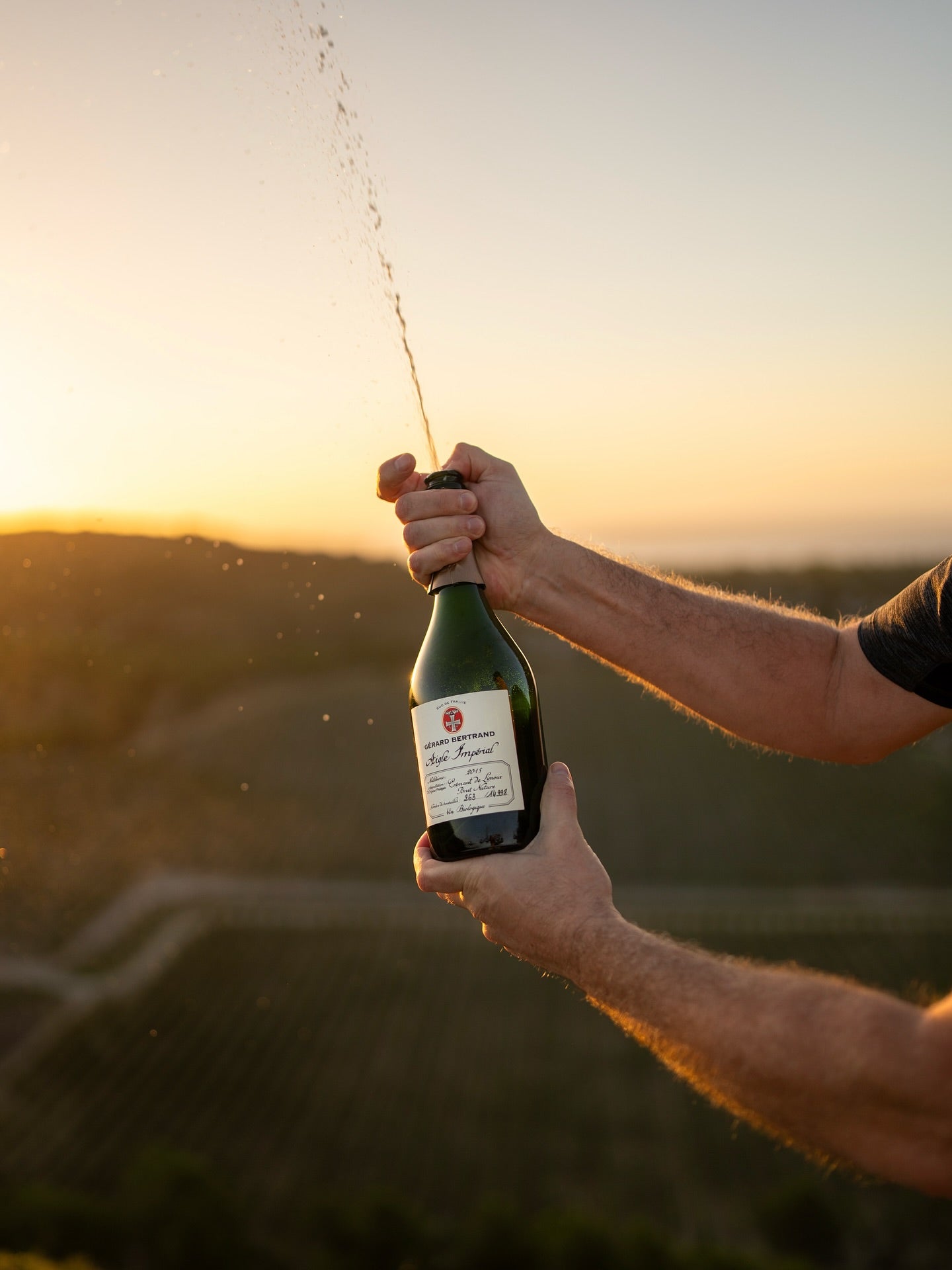 Le temps en héritage 🥂