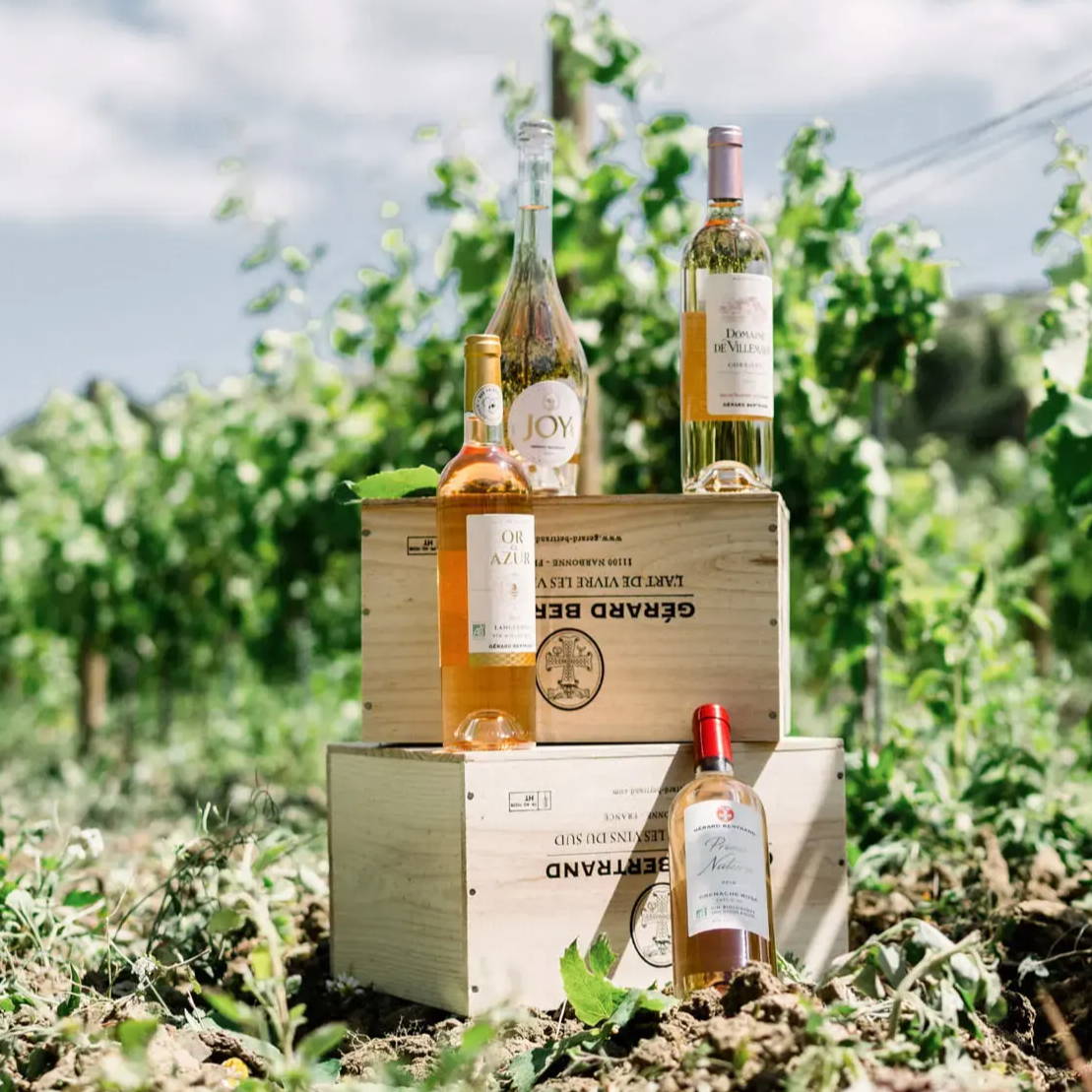 Les vins rosés Bio