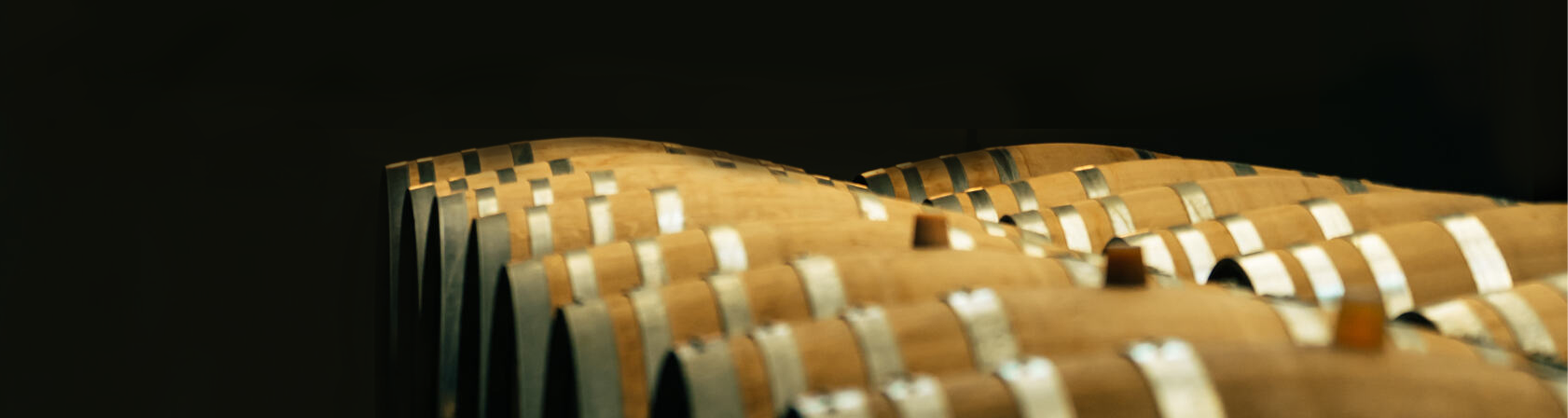 Les Nouveautés sur la Boutique