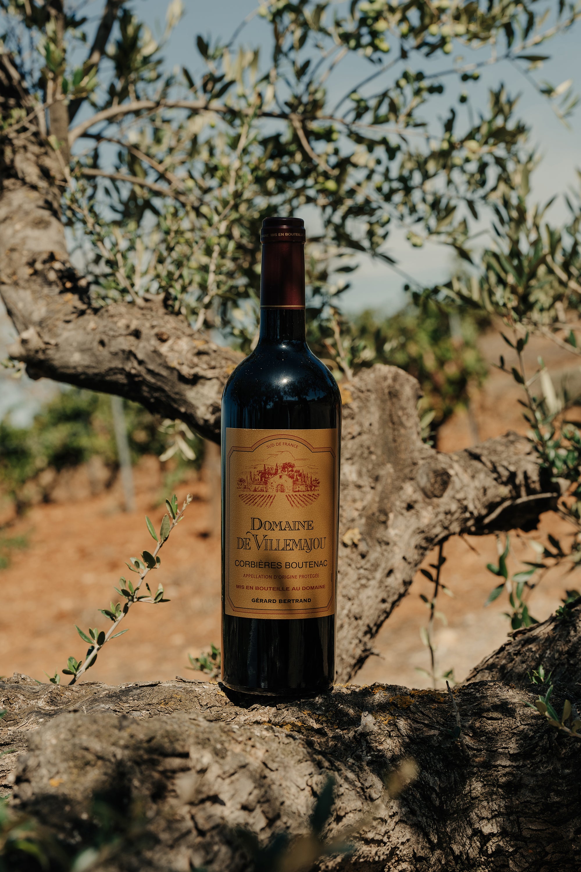 Domaine de Villemajou rouge 75cl 2022 - Gérard Bertrand 