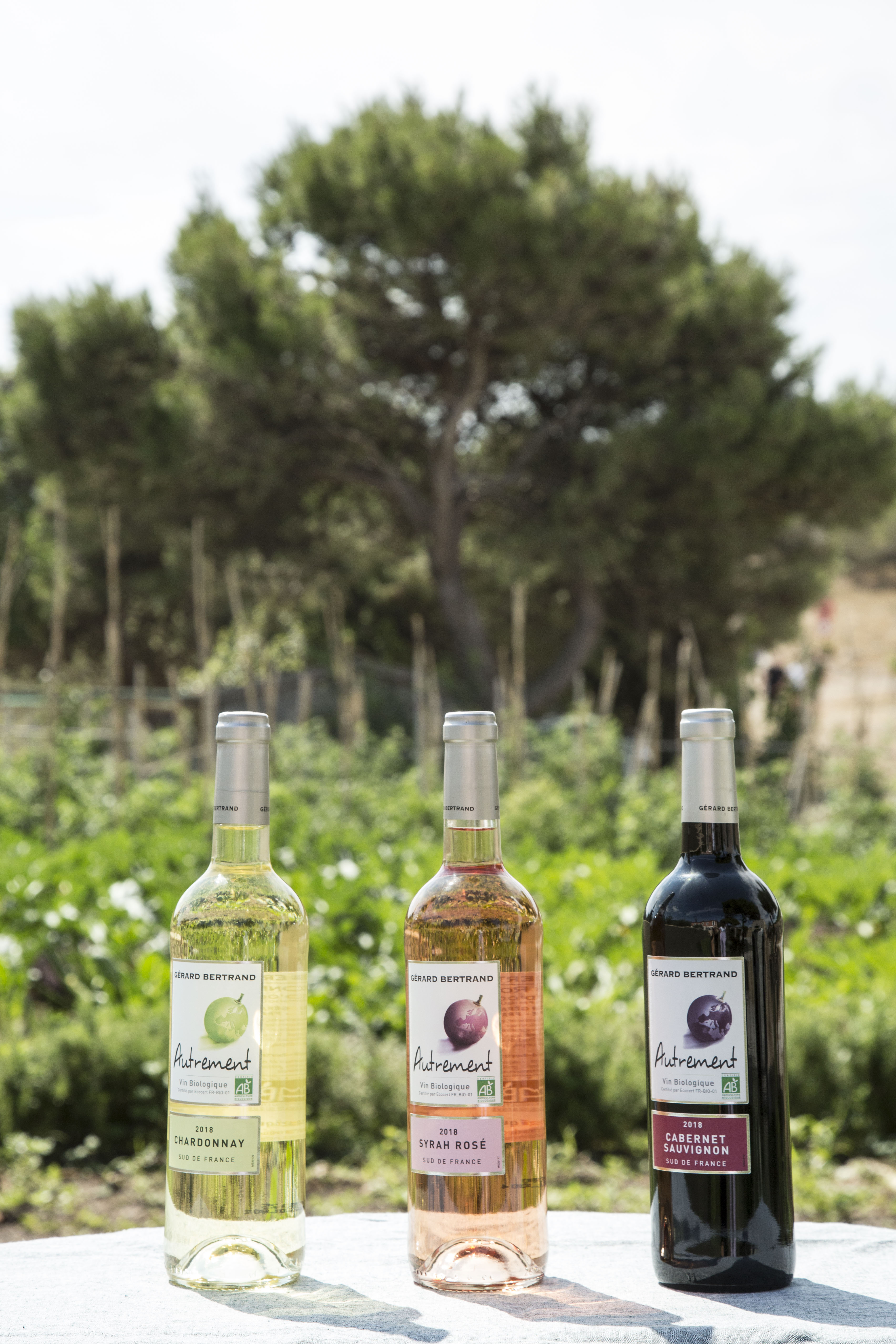 Autrement Grenache rosé 2024 Lot 6 bouteilles 75cl