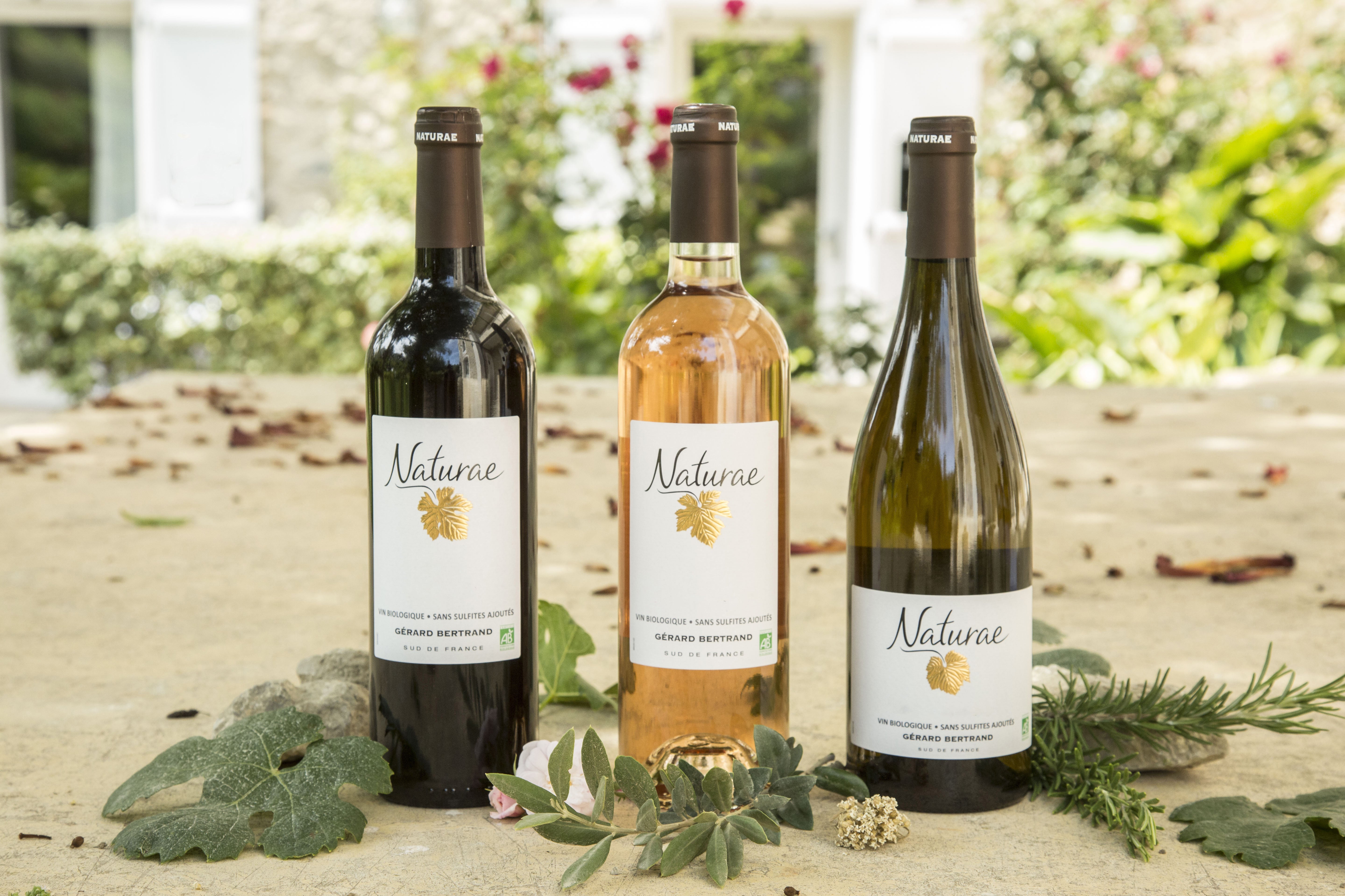 Naturae Syrah 2023 75cl vin rouge bio vegan sans sulfites Lot 6 Bouteilles