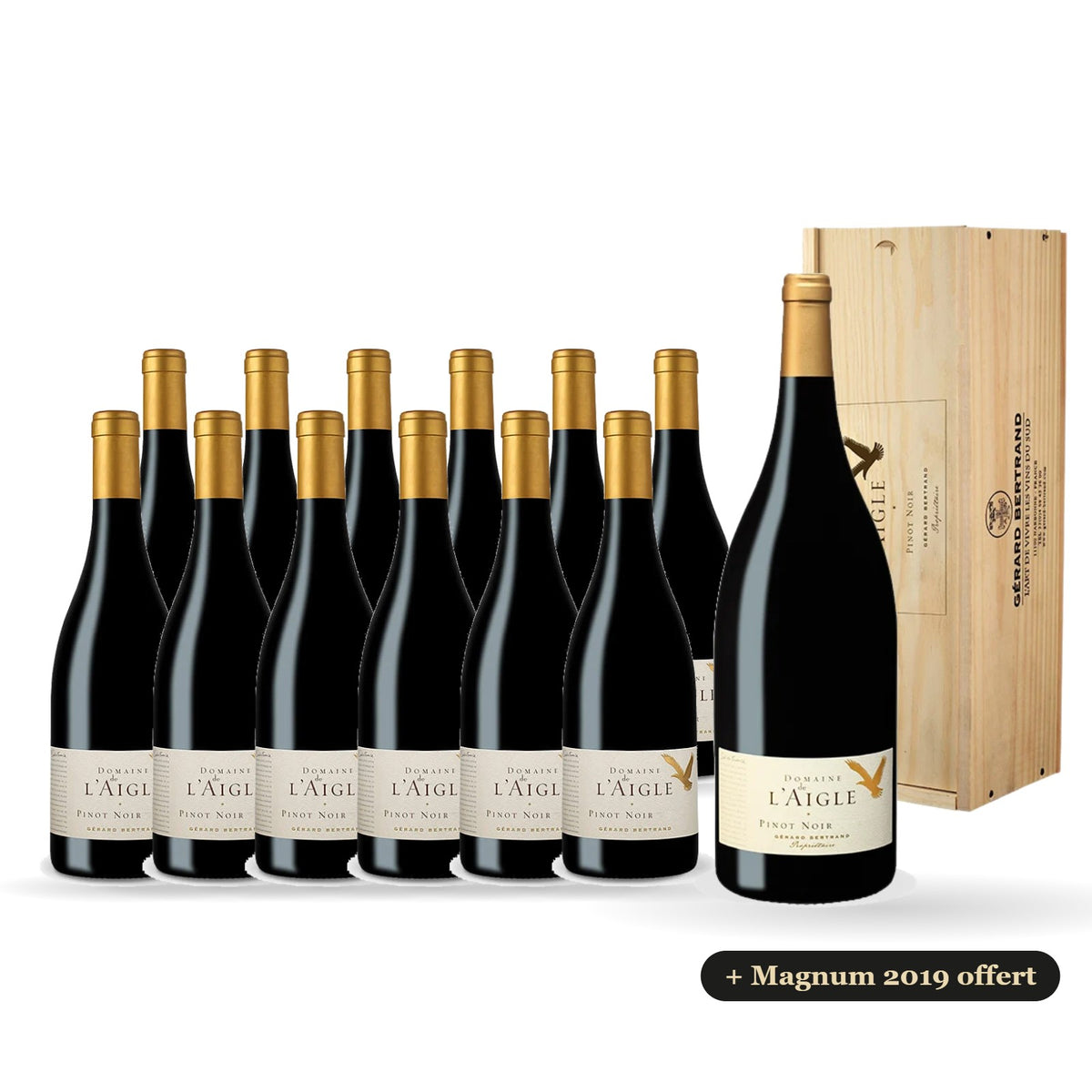 Set of 12 bottles of Domaine de l'Aigle Pinot Noir 2024 with a free 2019 magnum