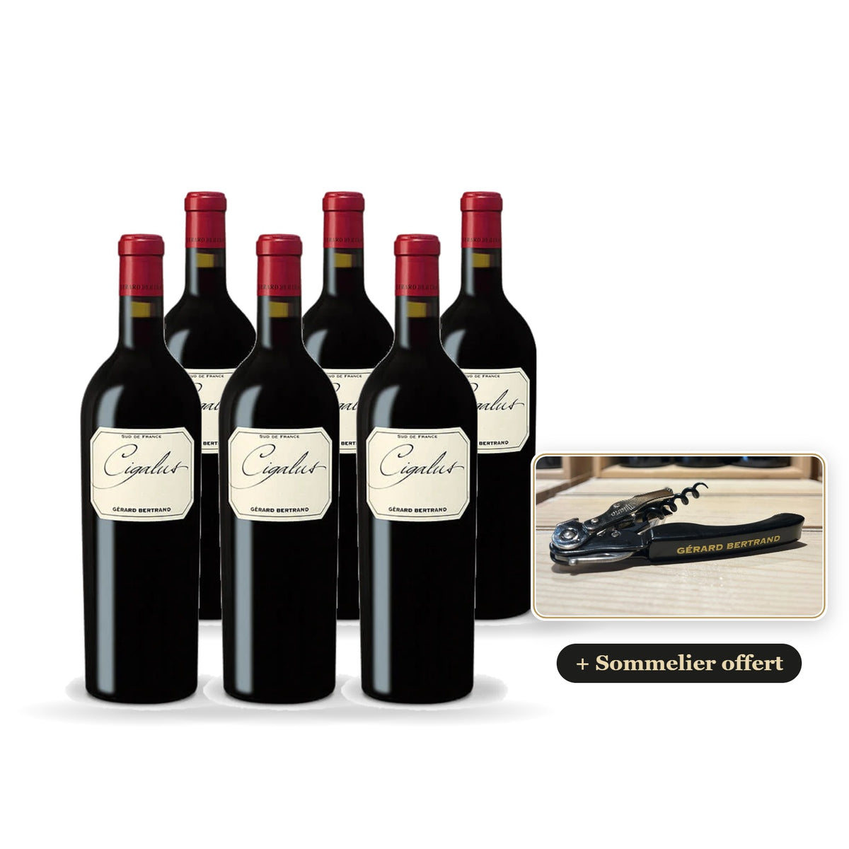 Pack of 6 Cigalus red 2023 with a free Gérard Bertrand corkscrew